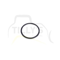 SEAL - O RING