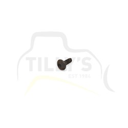 SCREW - TRUSS HEAD