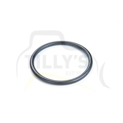 SEAL - O RING