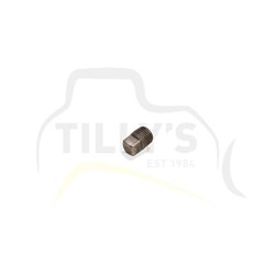 PLUG - 1/4" PIPE
