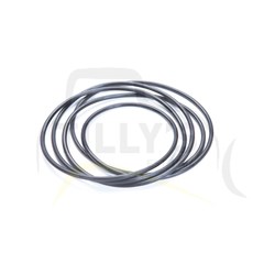 SEAL - O RING