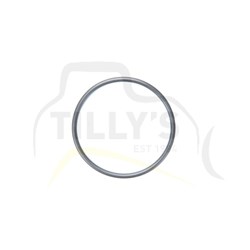 SEAL - O RING