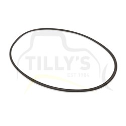 SEAL - O RING