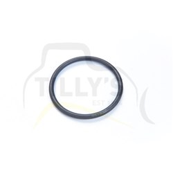 SEAL - O RING