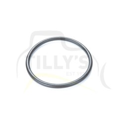 SEAL - O RING