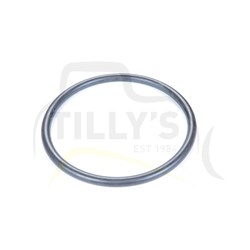 SEAL - O RING TORIC SEALING