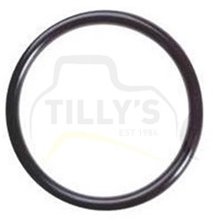SEAL - O RING
