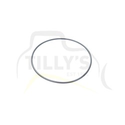 SEAL - O RING