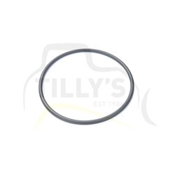 RETAINER - TRACK ROLLER GUARD