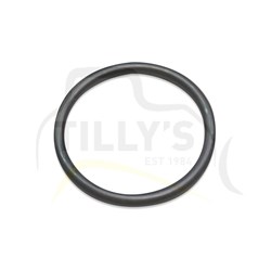 SEAL - O RING