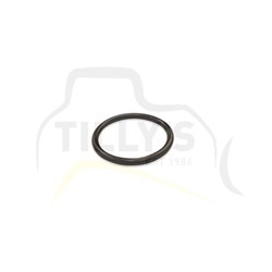 SEAL - O RING