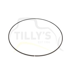 RING - SEALING PLANETARY D9H