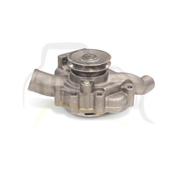 PUMP GRP - WATER 3114 3126