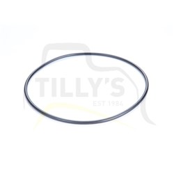 SEAL - O RING