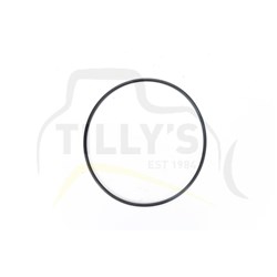 SEAL - O RING