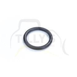 SEAL - O RING
