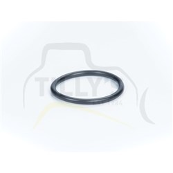 SEAL - O RING