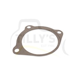 GASKET - MOTOR GRP