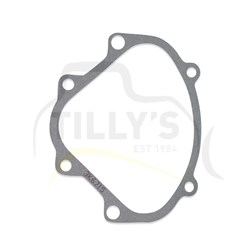 GASKET - SIDE COVER  922