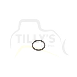 SEAL - RING  BOOSTER