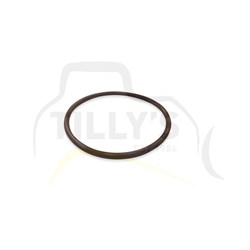 SEAL - O RING