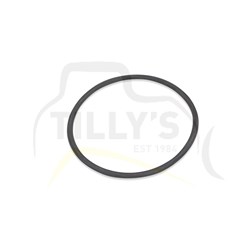 RING -  SEAL GRP DUO CONE