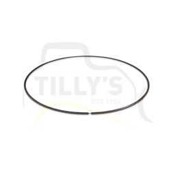 SEAL - RING  PLANETARY D6D