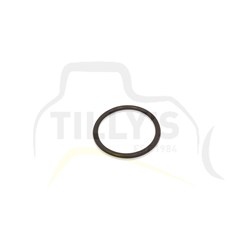 SEAL - O RING