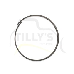 RING - WEAR EX300 STICK CYL