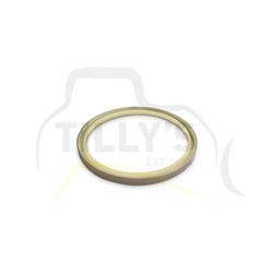 SEAL - BUCKET CTRL PIVOT