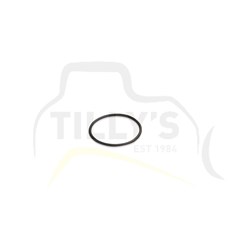 SEAL - O RING IDLER