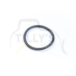 SEAL - O RING