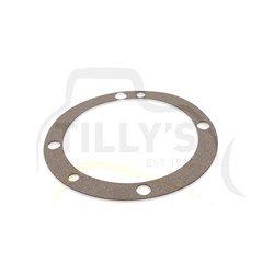 GASKET - GOVERNOR CONTROL