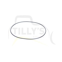 SEAL - O RING 330CL
