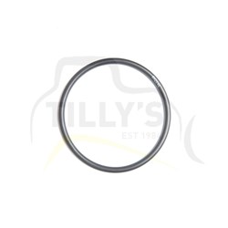 SEAL - O RING