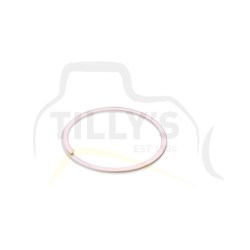 SEAL - RING BACKUP