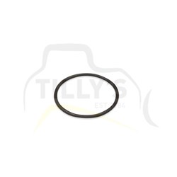 SEAL - O RING FILTER LUB