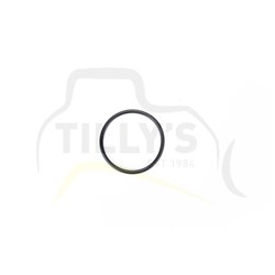 SEAL - O RING