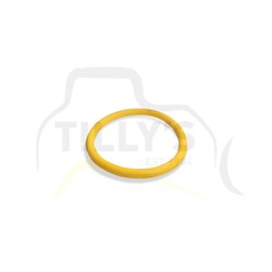 SEAL - O RING