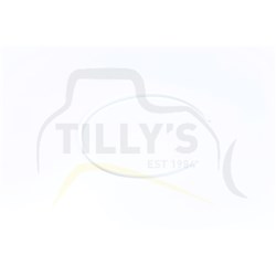 RING SEAL - CLUTCH STEER D6D