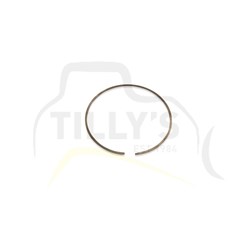 SEAL - RING OIL