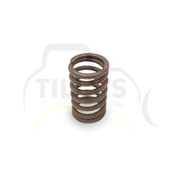 SPRING - VALVE HEAD GRP 3406C