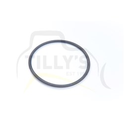 SEAL - O RING
