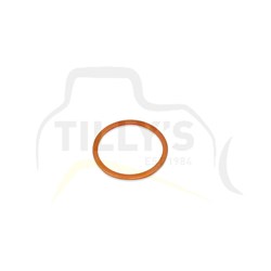 WASHER - FILTER OIL