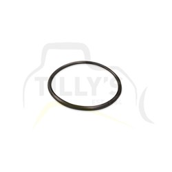 SEAL - O RING