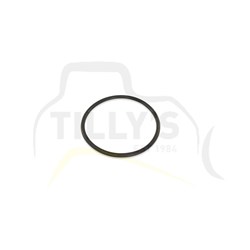 SEAL - O RING