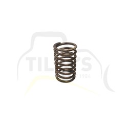 SPRING - VALVE D4 6U D6 8U