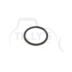 SEAL - O RING