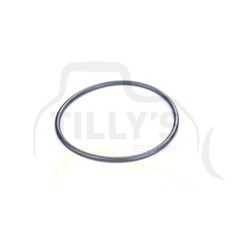 SEAL - O RING