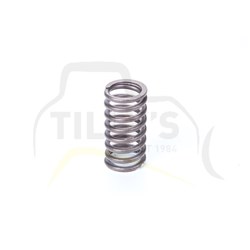 SPRING - VALVE CYL HEAD 3066
